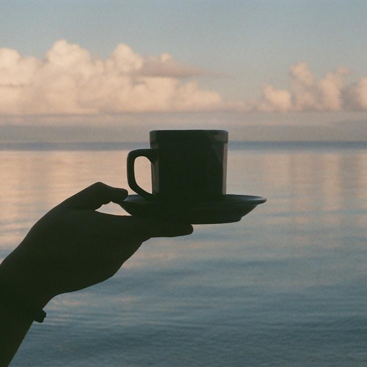 Whispering Beans: Subtle Notes Signature Espresso